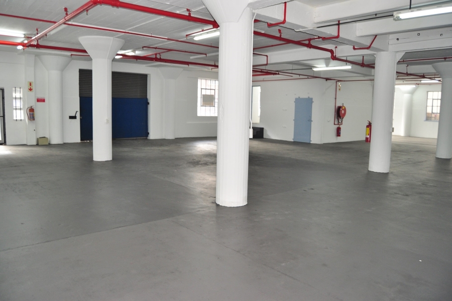 To Let commercial Property for Rent in Paarden Eiland Western Cape